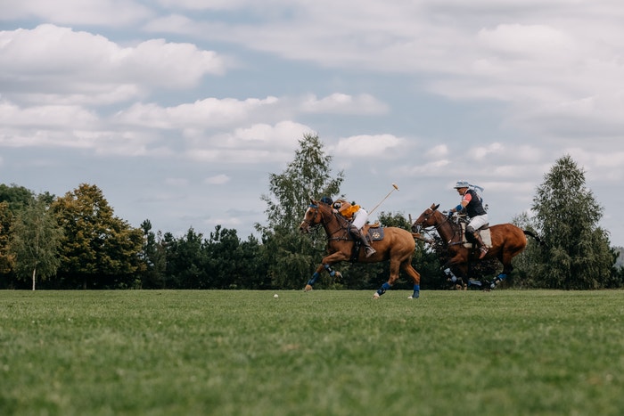 ročník Prague Polo Cup, 14. září 2019 Autor: Adam Costey