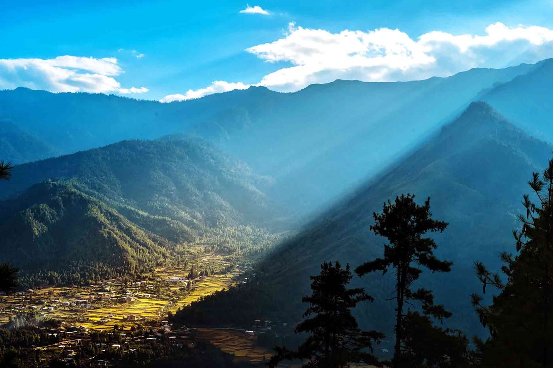 Paro.