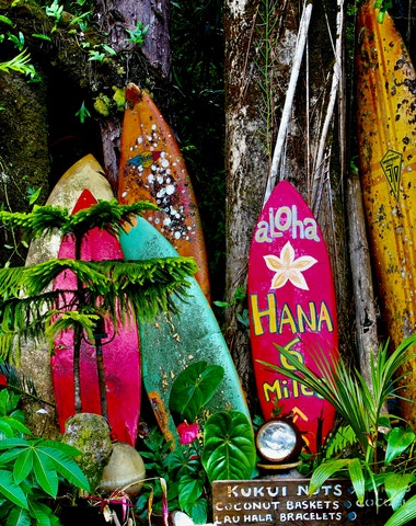 6 zdravých návyků, které jsem si osvojila na Havaji