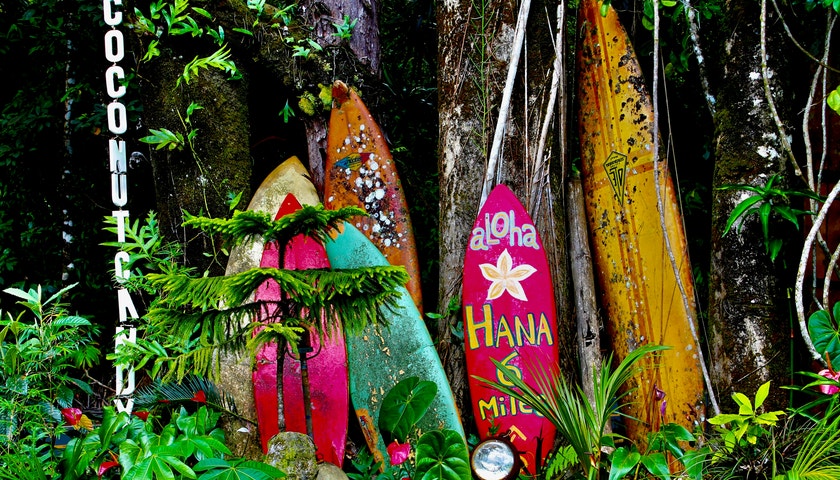 6 zdravých návyků, které jsem si osvojila na Havaji
