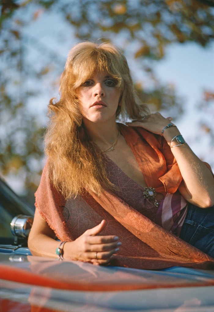 Stevie Nicks