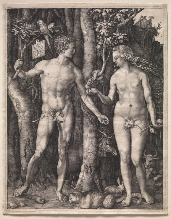 Adam a Eva, Albrecht Dürer, 1504; Fletcher Fund, 1919