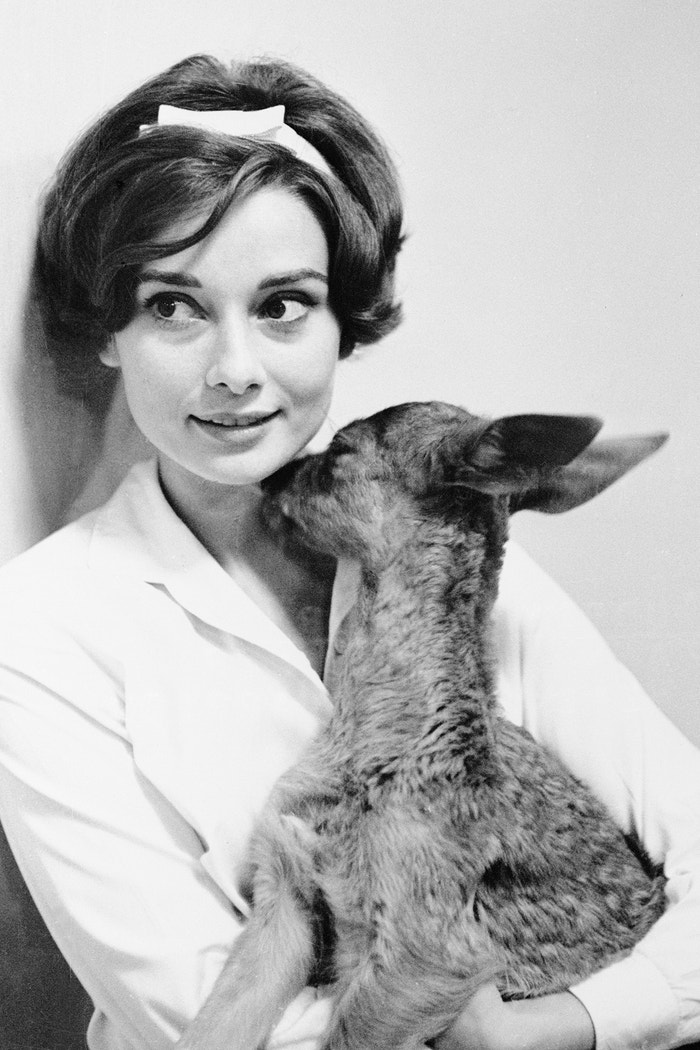 Audrey Hepburn, 1958 Autor: Bettmann/Getty Images