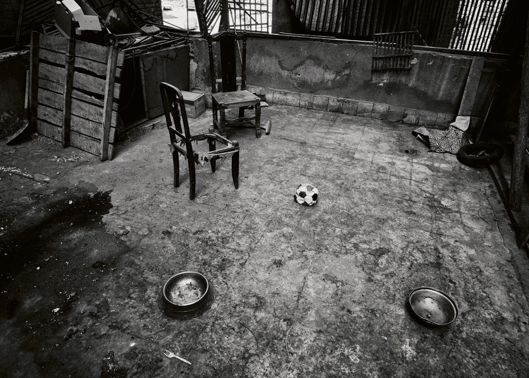 Kniha Cairo