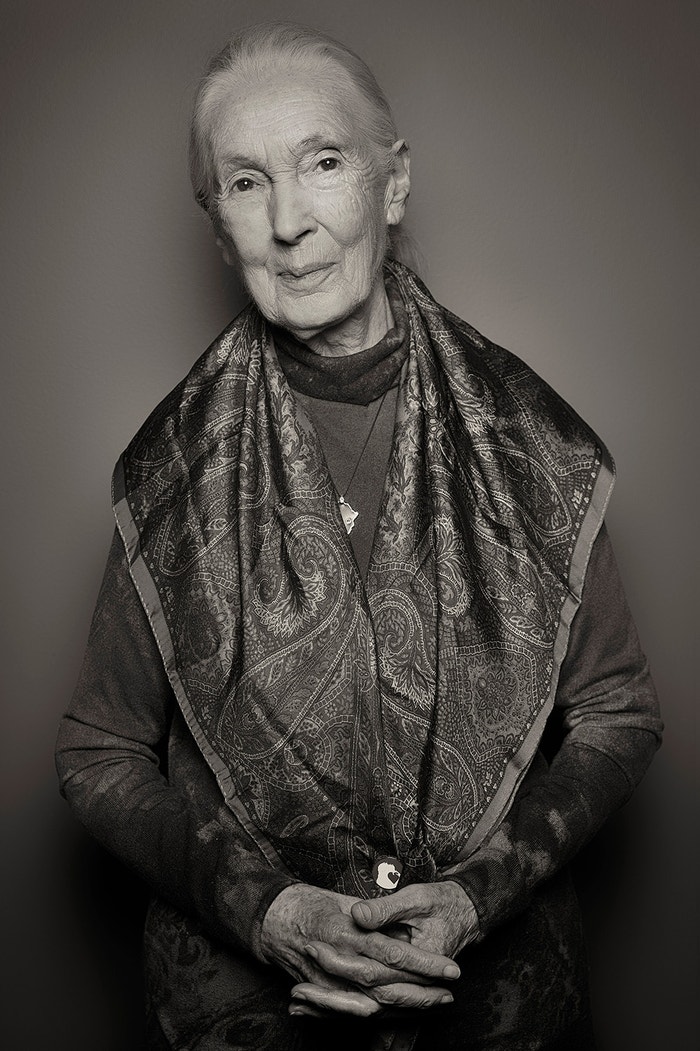 Jane Goodall