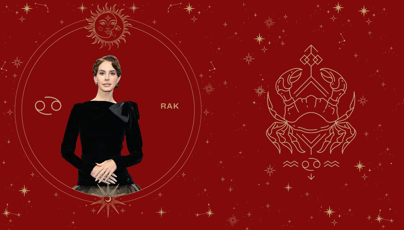 Vánoční dárky podle horoskopu. Co ocení citliví Raci
Vánoční dárky podle horoskopu. Co ocení citliví Raci