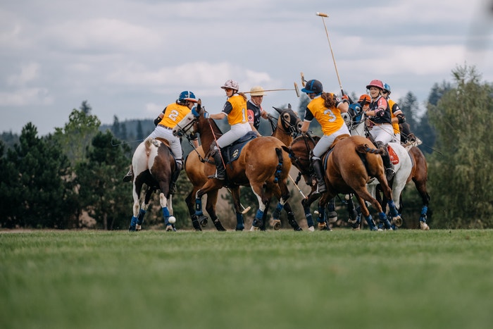 ročník Prague Polo Cup, 14. září 2019 Autor: Adam Costey