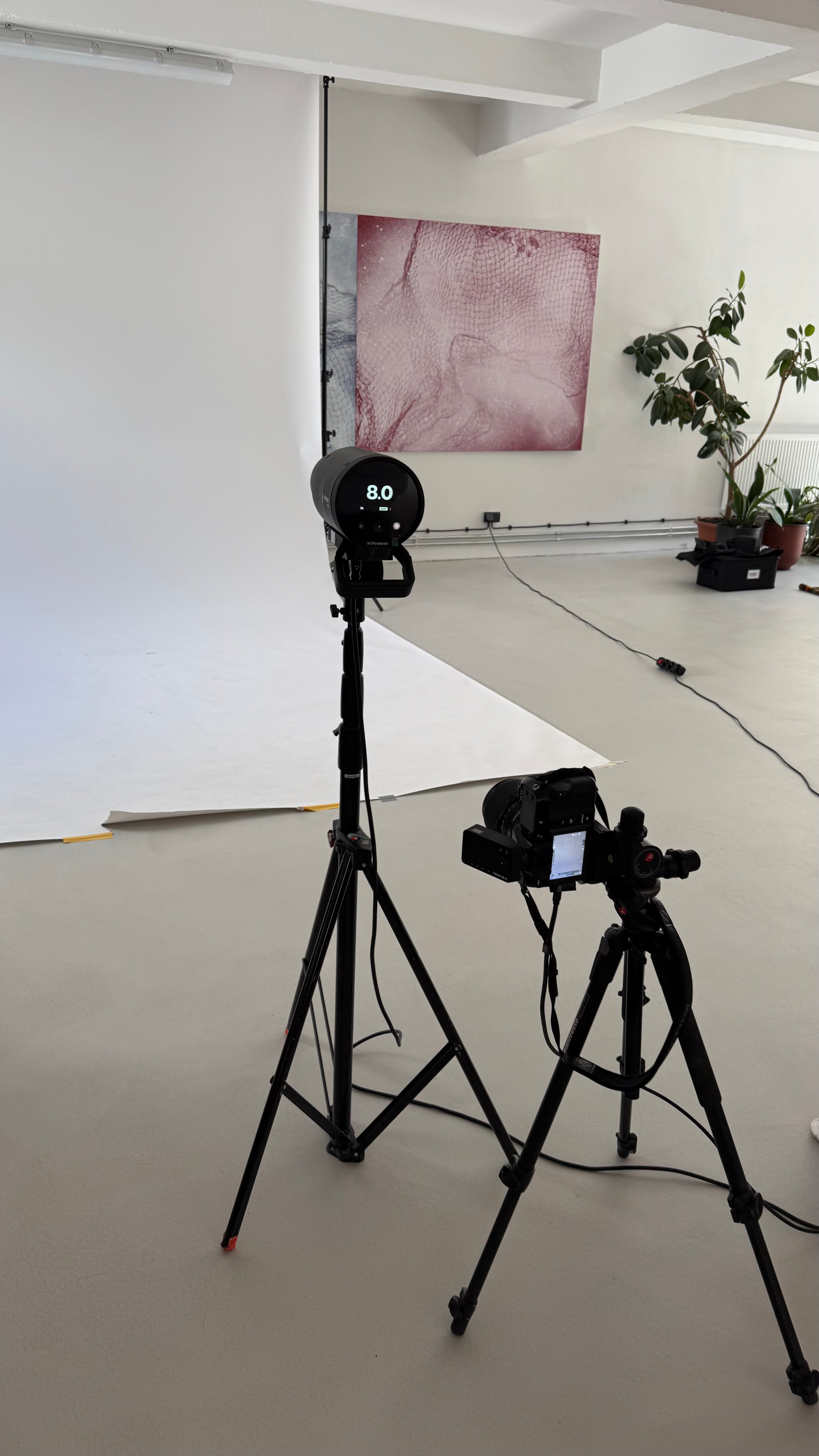 Autor: Barbora Brušková