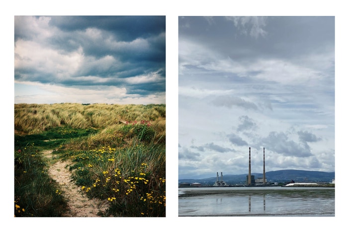 Bull Island