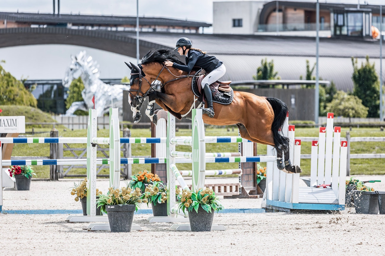 Autor: Riders & Dreams