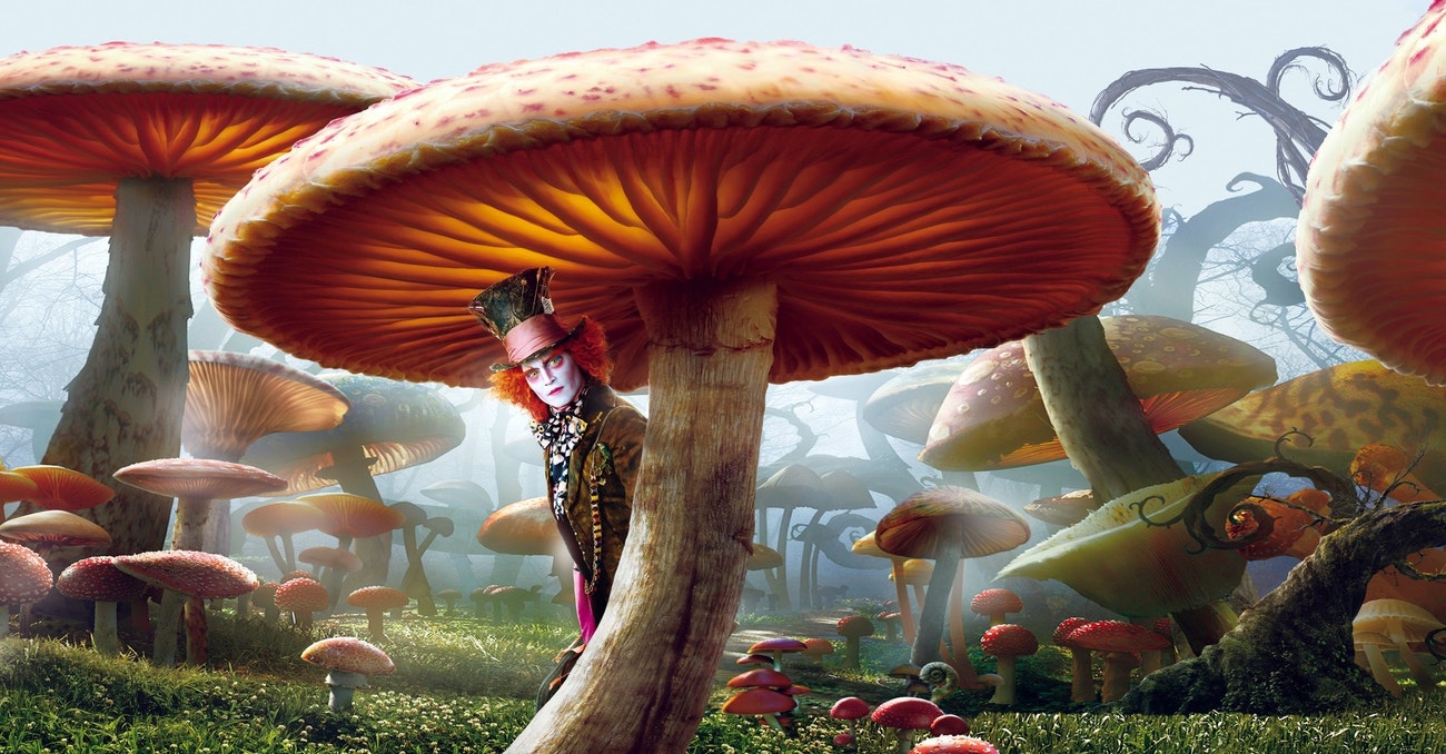 Už rostou? Stylové nezbytnosti pro každého houbaře