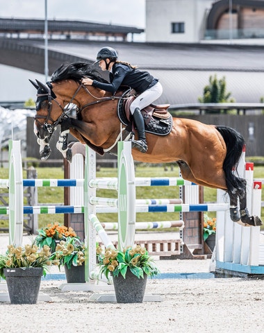 Prestižní mezinárodní jezdecké závody Longines EEF Series opět v Šamoríně