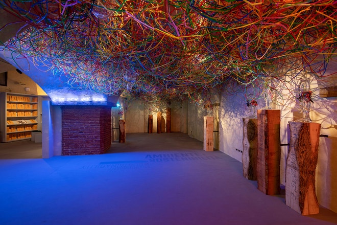 The Museum Hall