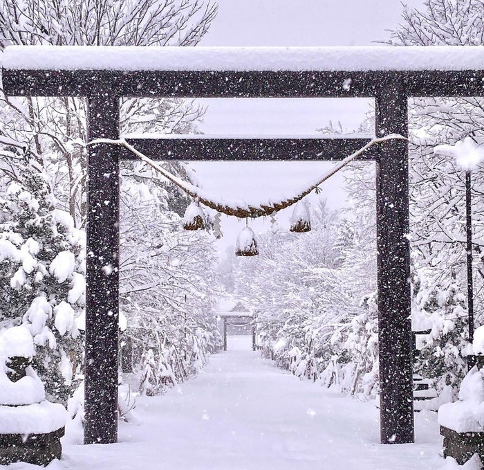 Autor: instagram @nisekounited