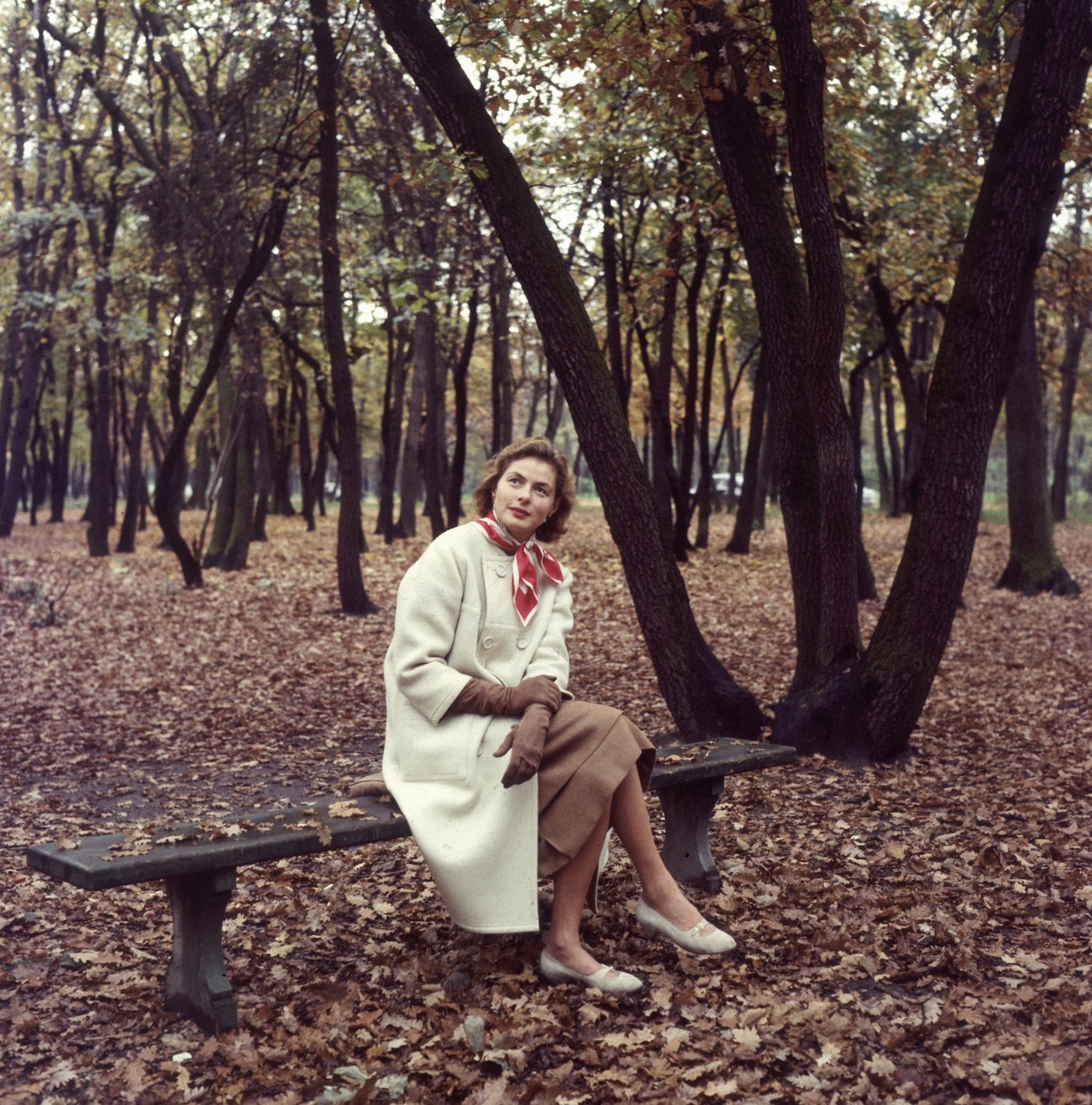 Ingrid Bergman