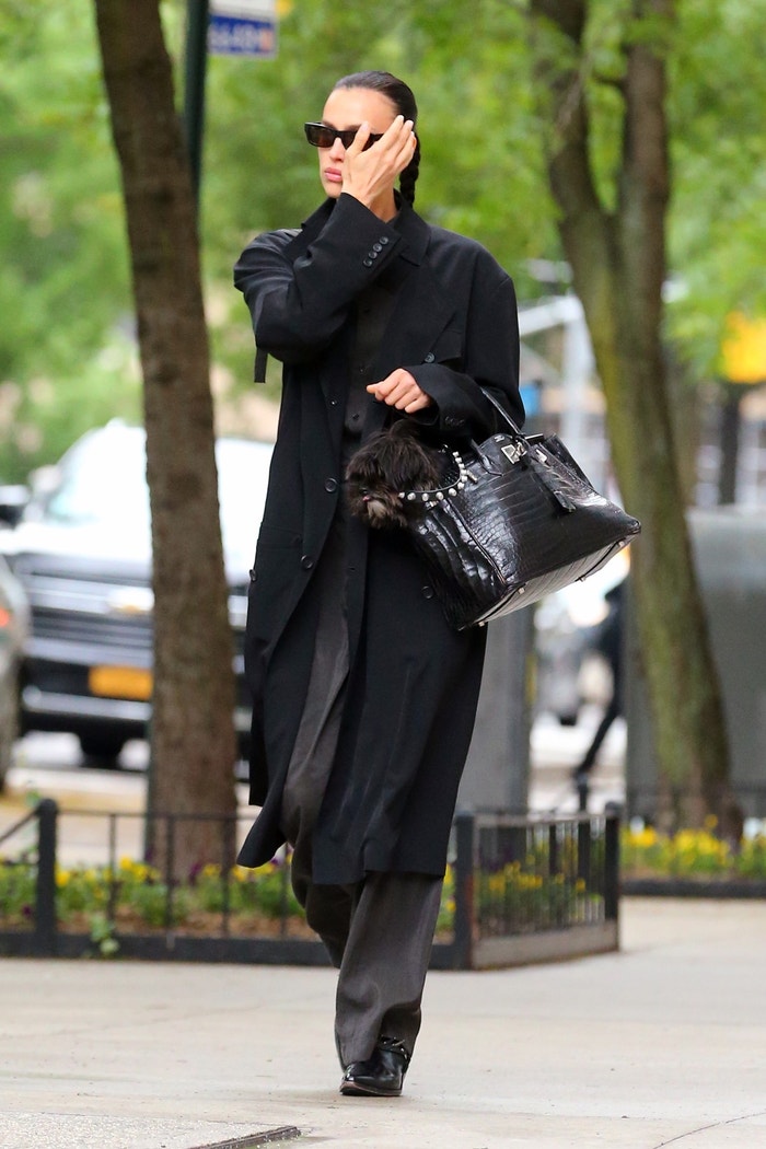 Irina Shayk s pejskem v kabelce