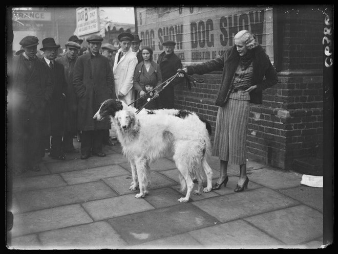 Dulcie Rice se svými barzoji na první výstavě psů s názvem Crufts, která se konala v roce 1891 v londýnském Islingtonu.