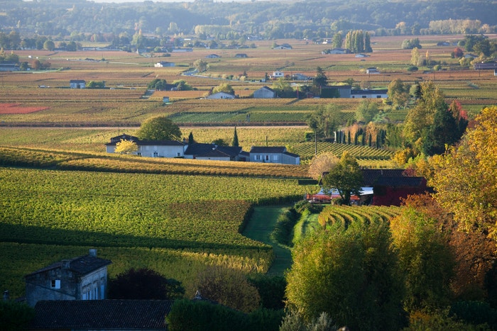 Vinice v okolí Saint-Émilion jsou zapsané na seznamu UNESCO