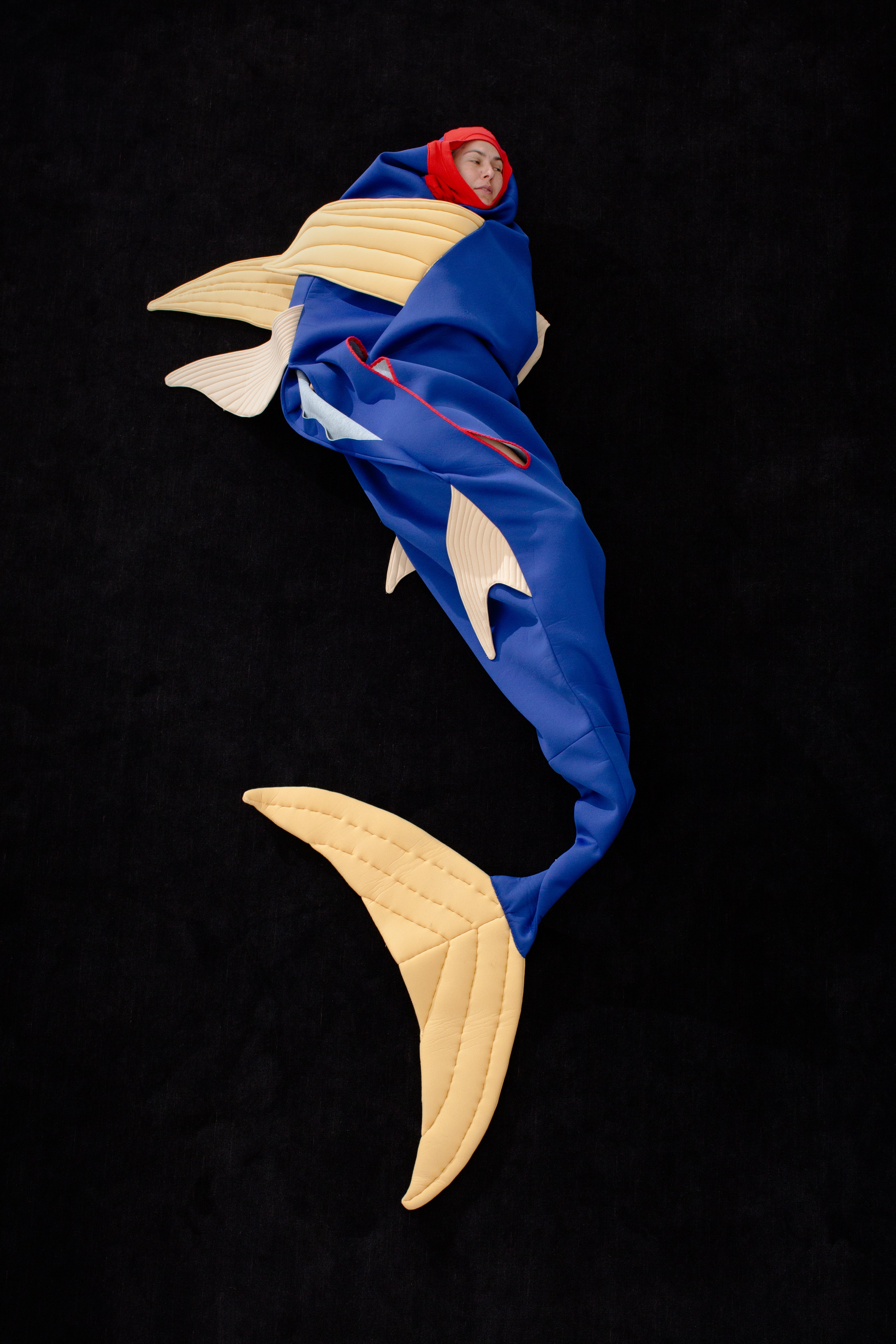 Autor: NGP Autor: NGP