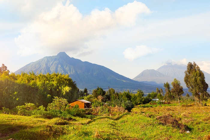 Rwanda, Virunga