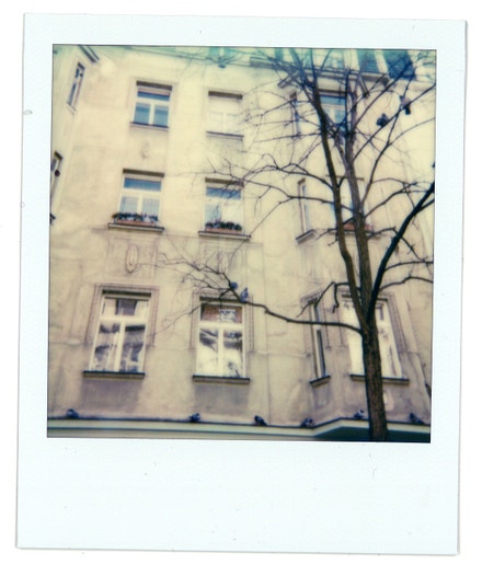 Autor: Zuzana Kubíčková