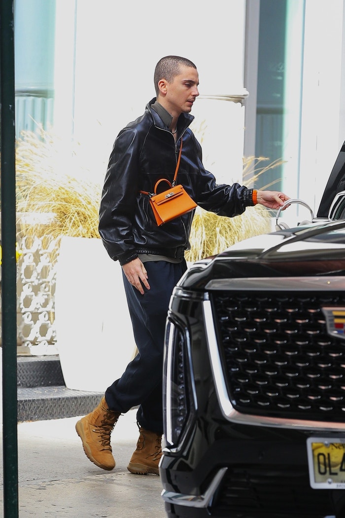 Timothée Chalamet v New Yorku