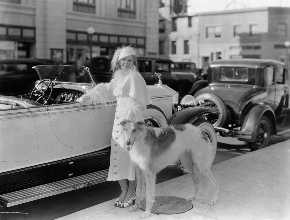 Jean Harlow se svým barzojem