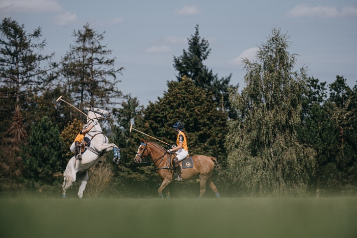 ročník Prague Polo Cup, 14. září 2019 Autor: Adam Costey