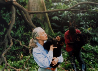 Devět životních lekcí od Jane Goodall, legendární primatoložky, která změnila svět