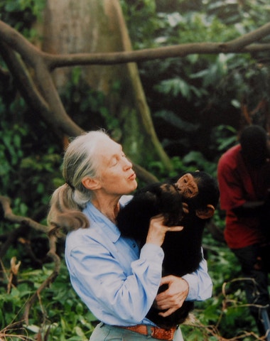 Devět životních lekcí od Jane Goodall, legendární primatoložky, která změnila svět
