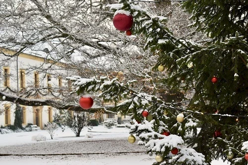 Vánoce na děčínském zámku